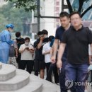 여행주 이미지