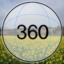 폰카로 사진 잘 찍는 방법 이미지