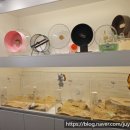 골든햄스터분양 탬펫 강남점 이미지