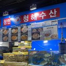 청해참치,회