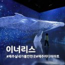 제주벨루가 | 제주 실내 가볼만한곳, 미디어아트 이너리스에서 혹등고래와 벨루가 만나기