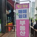 성연공인중개사사무소 이미지