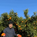 야베스농장 이미지