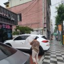 김정숙 미용실