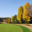 뉴코리아호텔 이미지