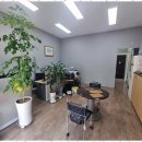 내일 행정사 사무소 이미지