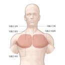 피티샵 이미지