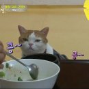 상귀농장 이미지