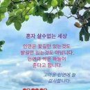 인연 Daum카페