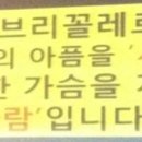 브리꼴레르 이미지