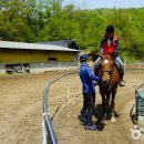 문경승마클럽 이미지