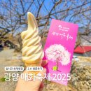 신갈오거리성인게임장 | 2025 광양매화축제 실시간 개화, 축제정보 3월11일 리뷰