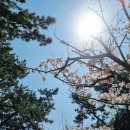 스테이보보 | 뻔한 곳은 이제 그만! 부산 구석구석 2박 3일 여행코스(feat. 기장, 해운대) ②