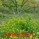 호랭이농장 Daum카페