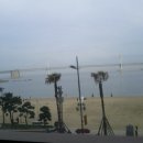 뉴영남식당 이미지