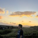 세화마트 이미지