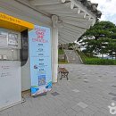 보러 이미지