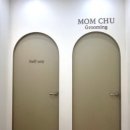 신세계미용 이미지