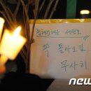 착한바보 이미지