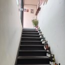 연남동 맛집 | 기간 한정 콜키지 프리 | 생일 기념일 데이트 필승하는 체보 파스타바 내돈내산