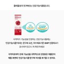 푸드올로지 2주(톡스올로지 클렌즈 비움+버닝 올로지 디데이) 솔직후기 내돈내산 신봉선 다이어트보조제
