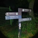 고양화전16 이미지