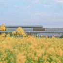 모들&모다들엉 이미지