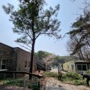 행운벌목