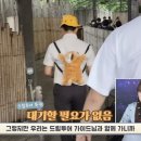 VIP투어 이미지