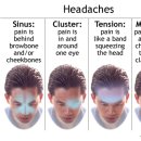 공한의원 이미지