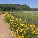 의성전천후게이트볼장 화장실 | [노지캠핑:의성비안교] 나날이 발전하는 우리