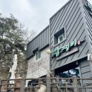 대구 도자기체험 담쟁이도자기공방 아이와 방문