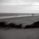 희미한옛사랑의 그림자 이미지