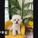 두루몽실 이미지