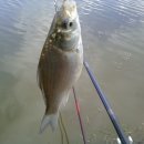 새말저수지 이미지