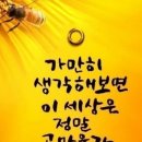 즐거운하루 이미지