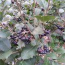 준2농장 이미지