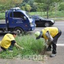 마포지역자활센터 이미지