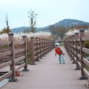 파리바게트대전 - 유성구 봉산로 27 | 파리바게트대전