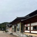 안동기사식당 | 안동 2박 3일 여행 코스 총정리, 진성 식당·하회 마을·월영교·유진 찜닭 후기