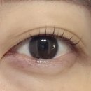 신일초등학교 | 시흥 신천역 은계지구 인근 속눈썹펌 속눈썹연장 잘하는 곳 편안한 분위기의 뷰티쥬쥬샵 방문 후기