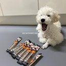 어바웃도그 이미지