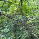 가평쏠스테이스파펜션 이미지