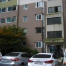 사파동102 이미지