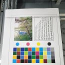 K&S자동차정비 | 영등포 복합기 점검 후기｜코니카미놀타 C284 컬러 테스트 검은 줄 발생, K드럼 부품 교체로 해결한...