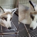 통영동물병원 이미지