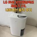 2024-주214 | LG 휘센 오브제컬렉션 제습기 21L 대용량 제습 성능 소음 내돈내산 실사용 후기 DQ214MEGA