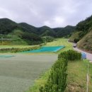 고령 유니벨리CC 이미지