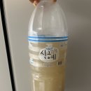 백두떡집