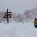 철수목장 이미지